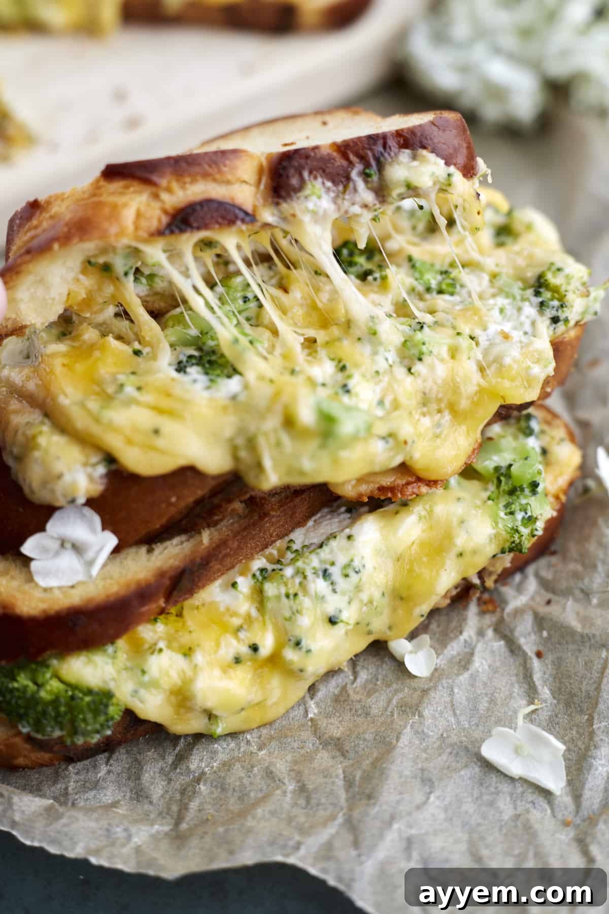 Two roasted garlic and broccoli oven grilled cheese sandwiches, stacked, with the filling oozing out.