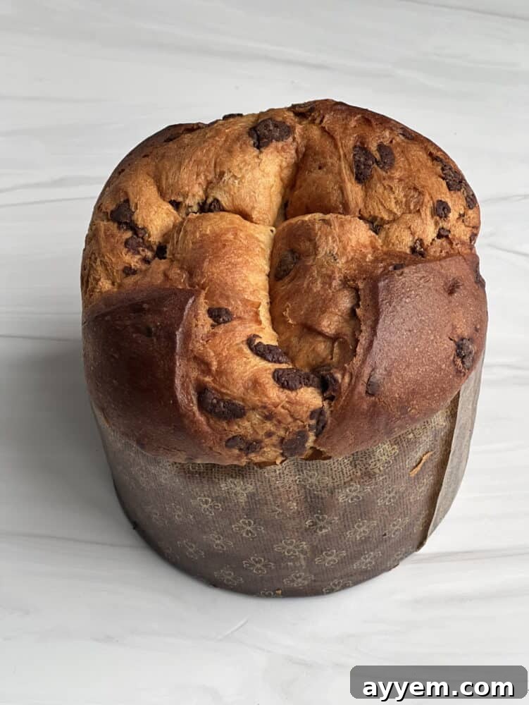 panettone bread pudding with pecan pie filling.