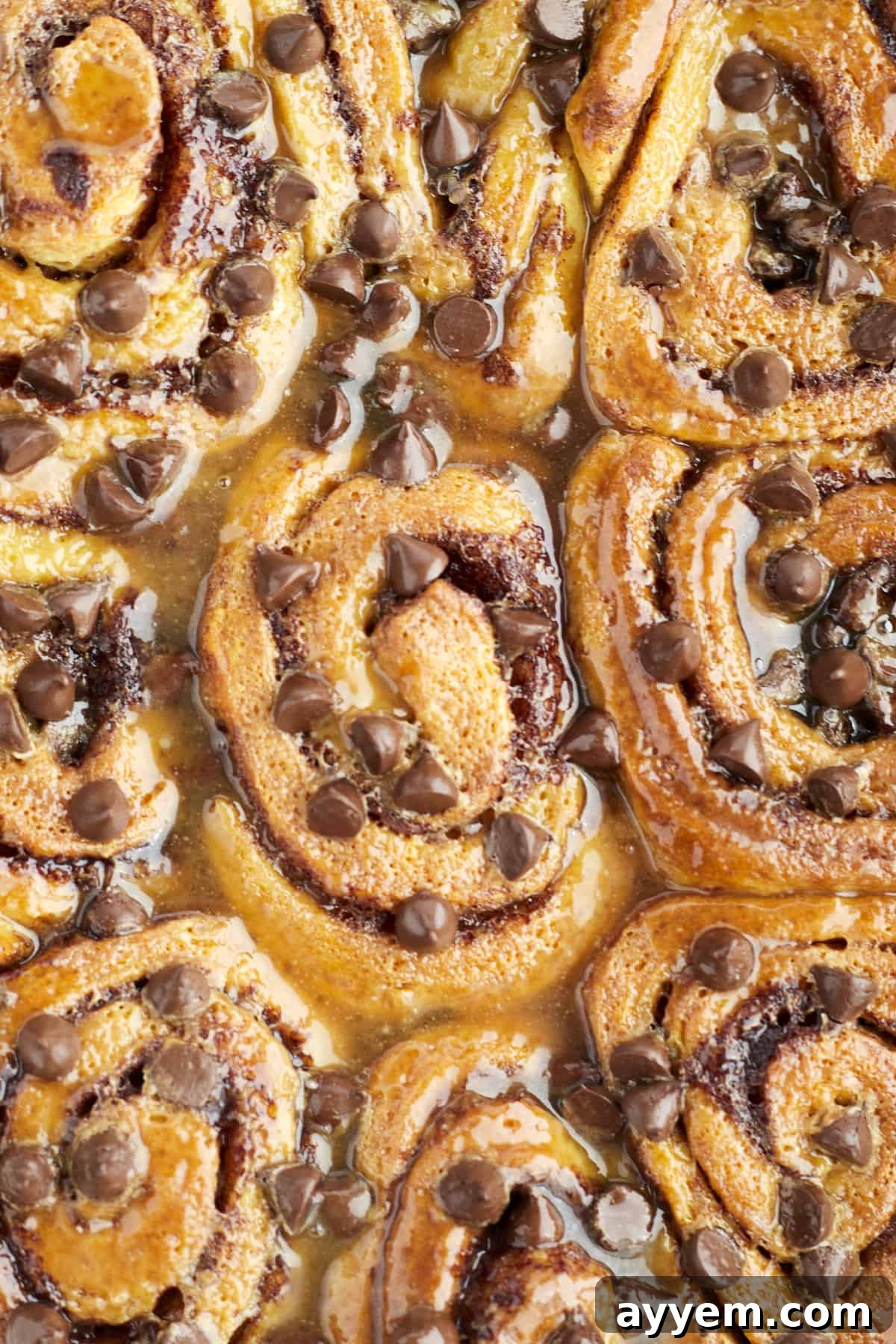 Freshly baked easy cinnamon rolls, golden brown and bubbly, generously topped with warm, dripping caramel and semi-sweet chocolate chips, served in a white baking dish.