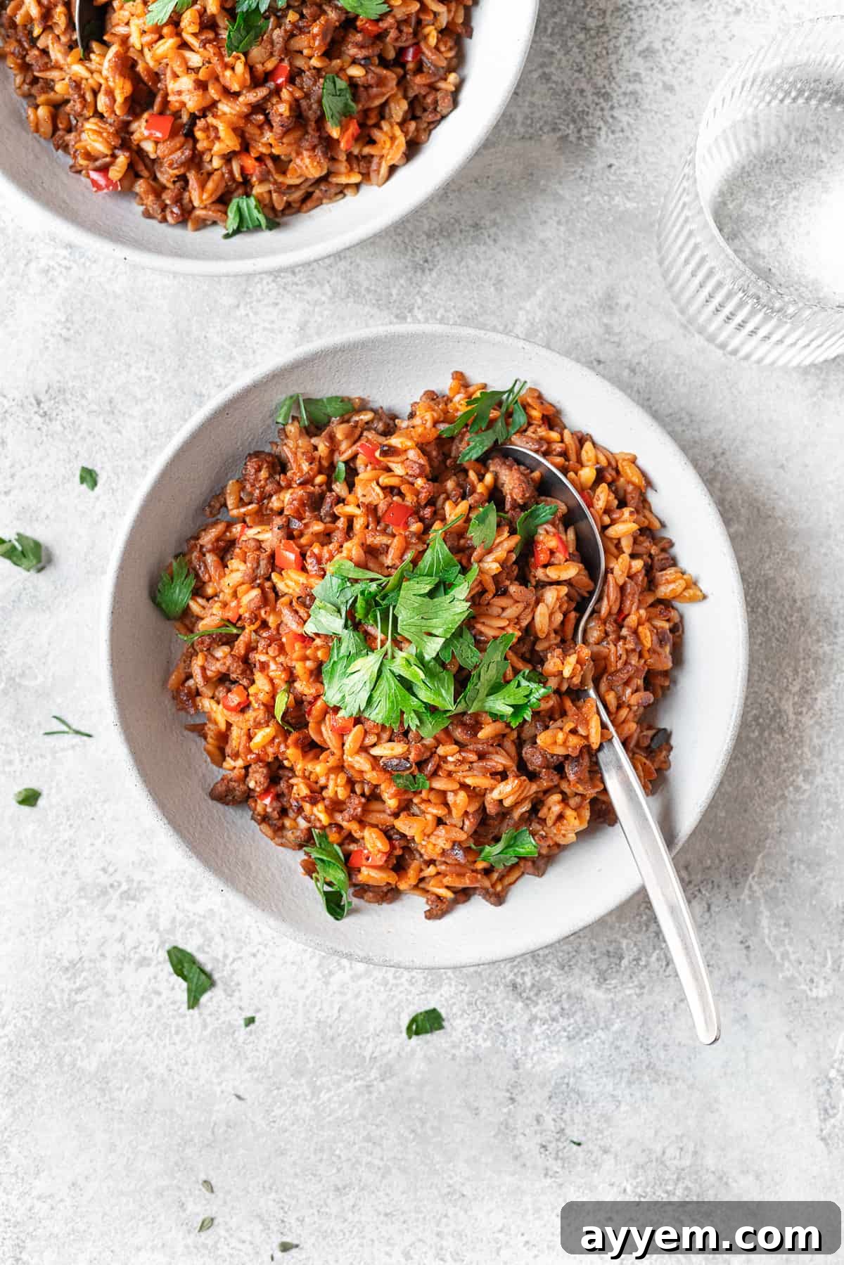 a bowl of lesan al asfour with cilantro on top and a spoon sticking out 