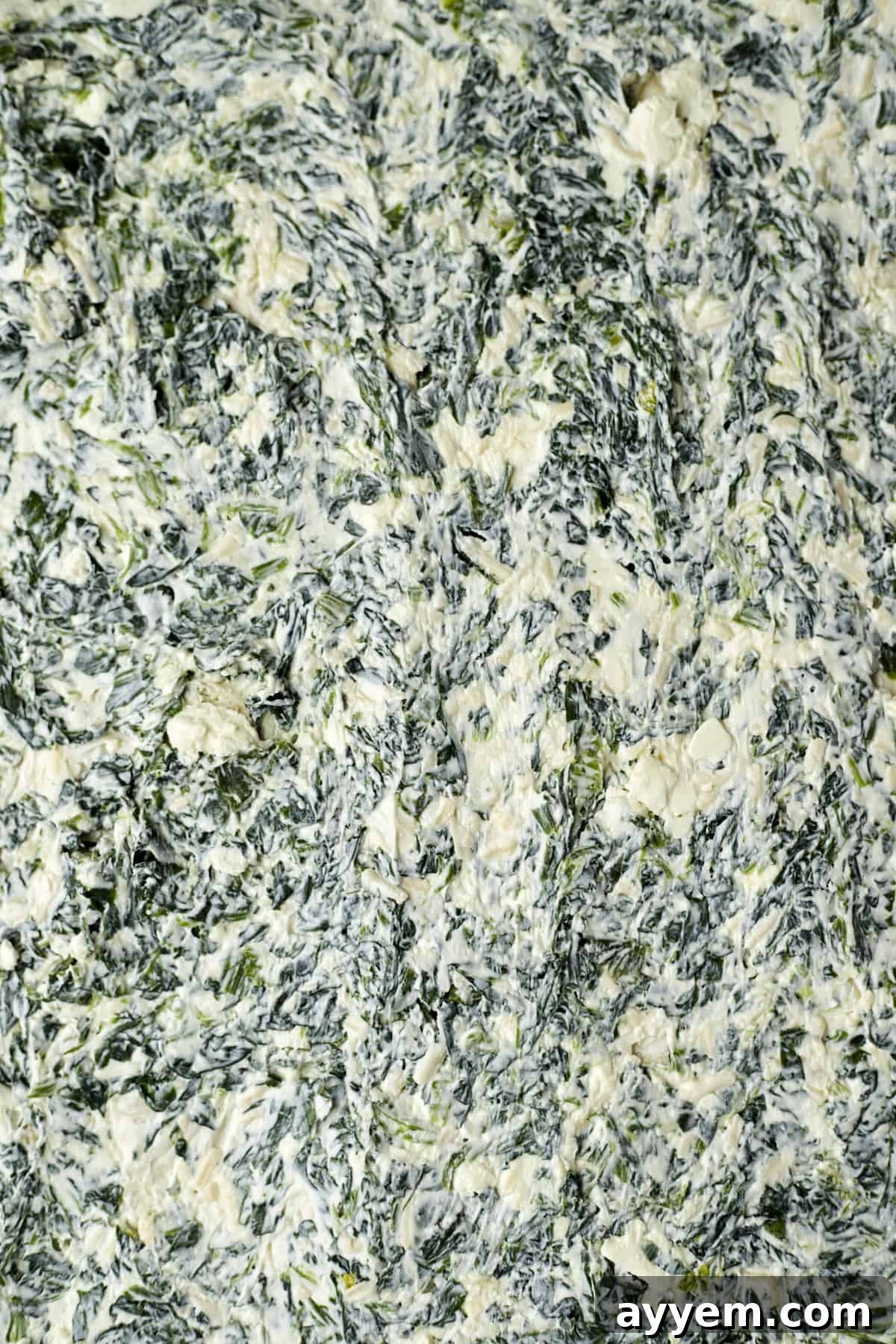 Creamy spinach and cheese filling being evenly spread across layers of phyllo dough in a baking pan