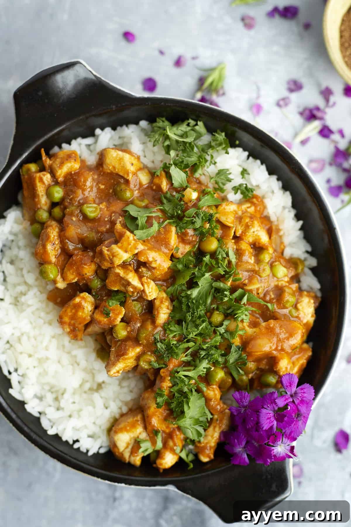 Overhead view of a bowl of Madras Curry Chicken served with rice and fresh cilantro garnish.