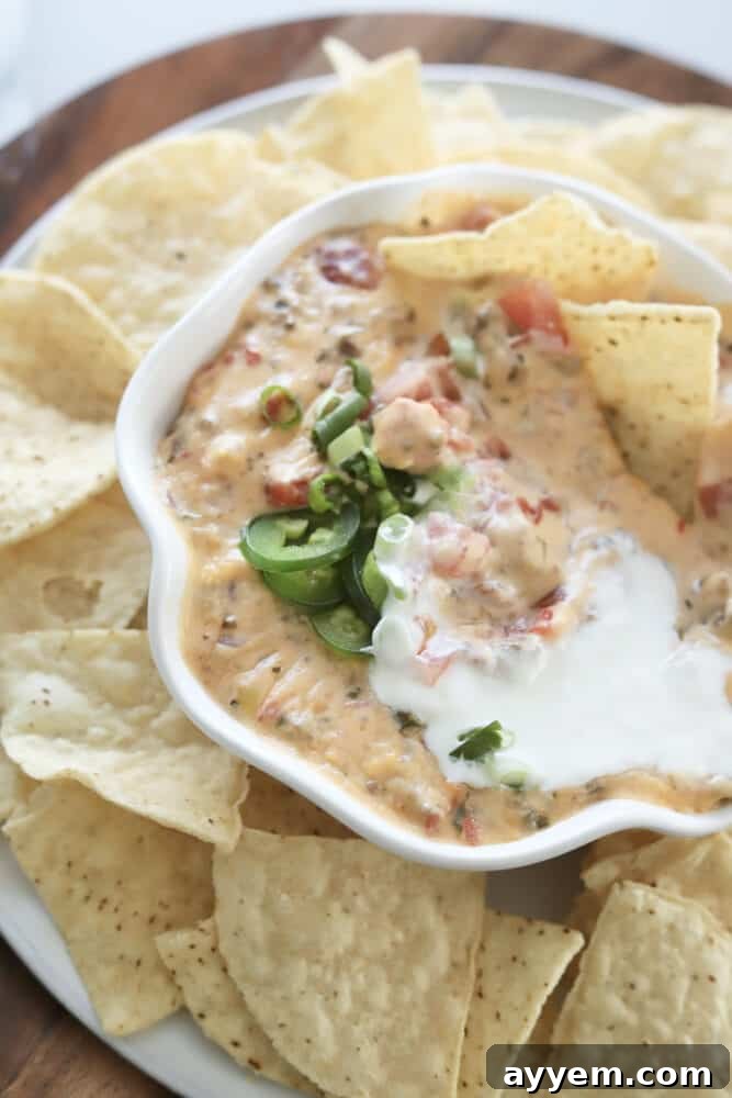 overhead image of baked queso in a white bowl surrounded by tortilla chips