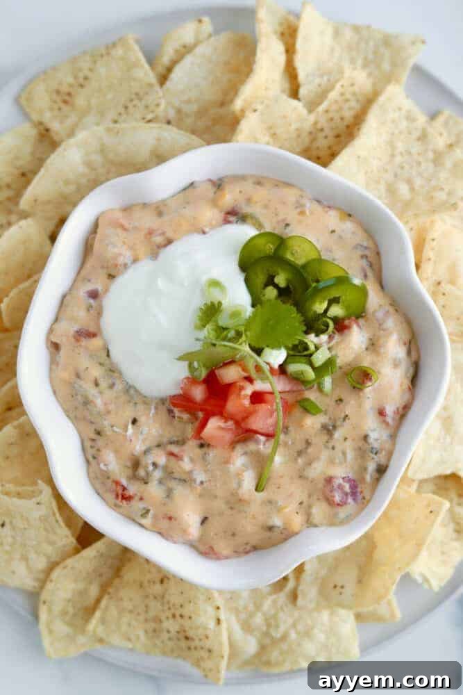 overhead image of homemade queso fundido dip in a white bowl surrounded by tortilla chips