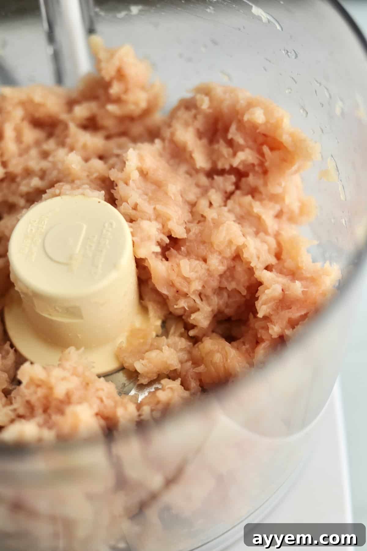 ground raw chicken breast in a food processor.