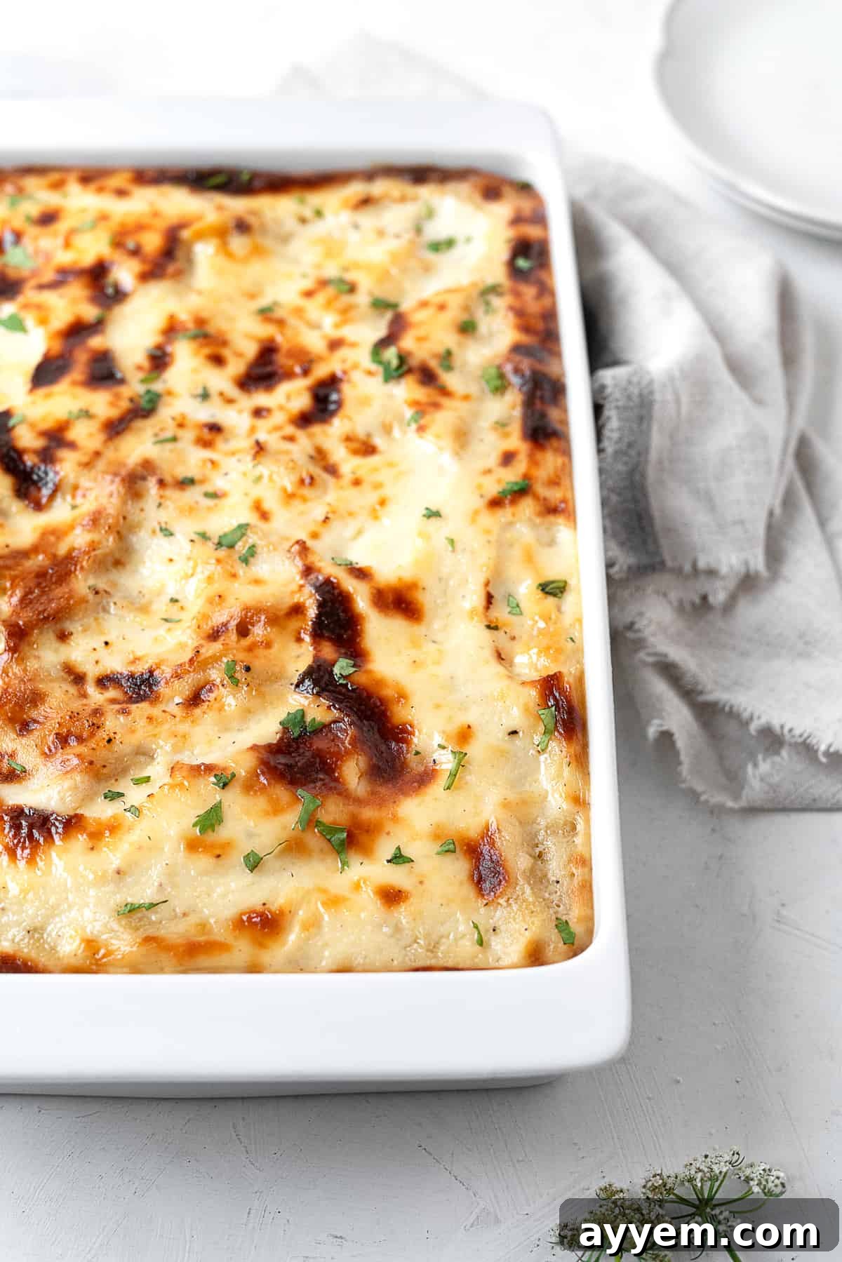 a casserole dish full of baked penne with bechamel sauce