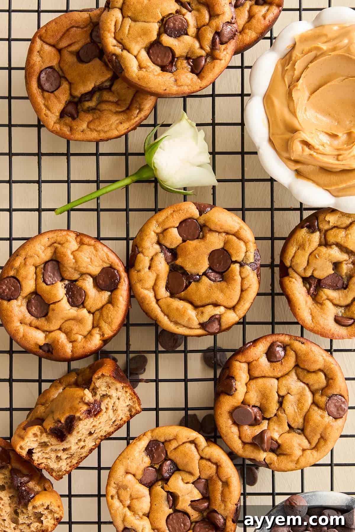 Delicious Biscoff Blender Muffins arranged on a cooling rack, ready to be enjoyed.