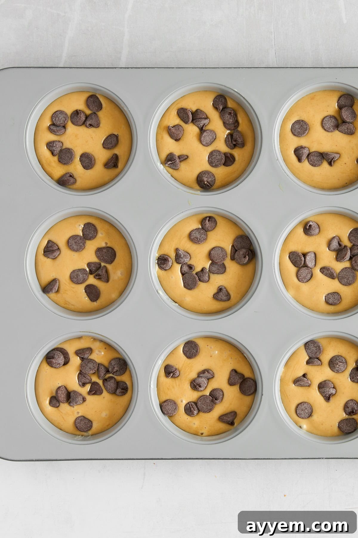 A close-up of a Biscoff Blender Muffin, showcasing its golden exterior and tempting chocolate chips.