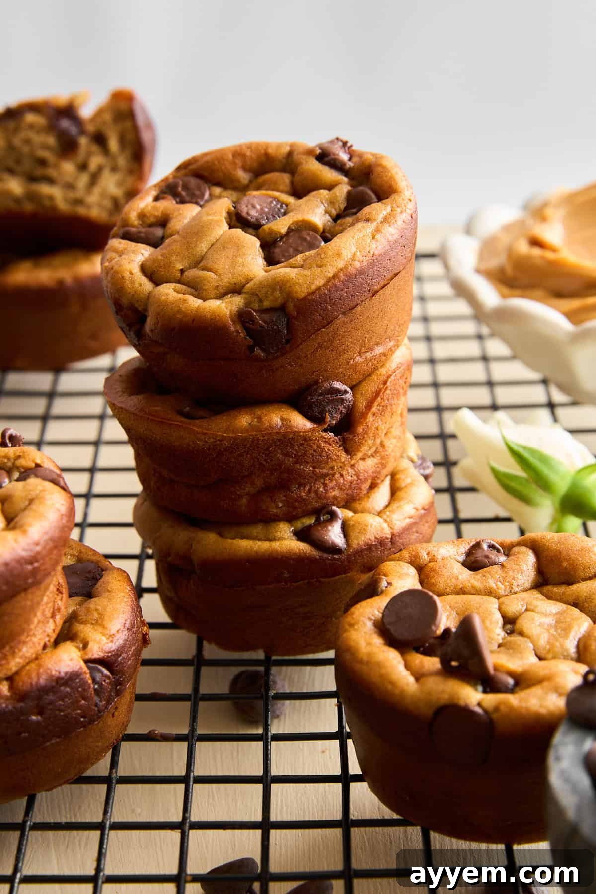 A large batch of Biscoff Blender Muffins cooling on a wire rack.