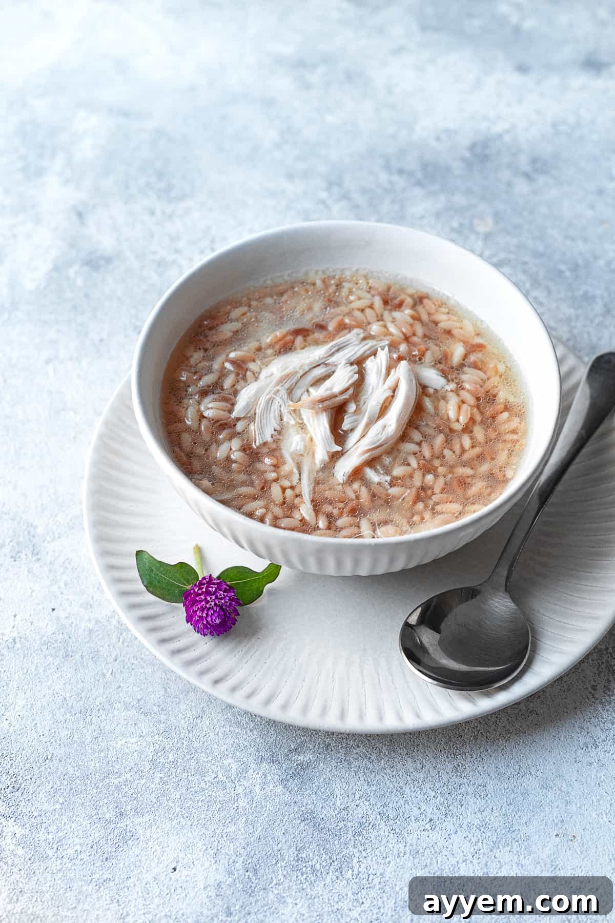 Middle Eastern Orzo Soup topped with shredded chicken