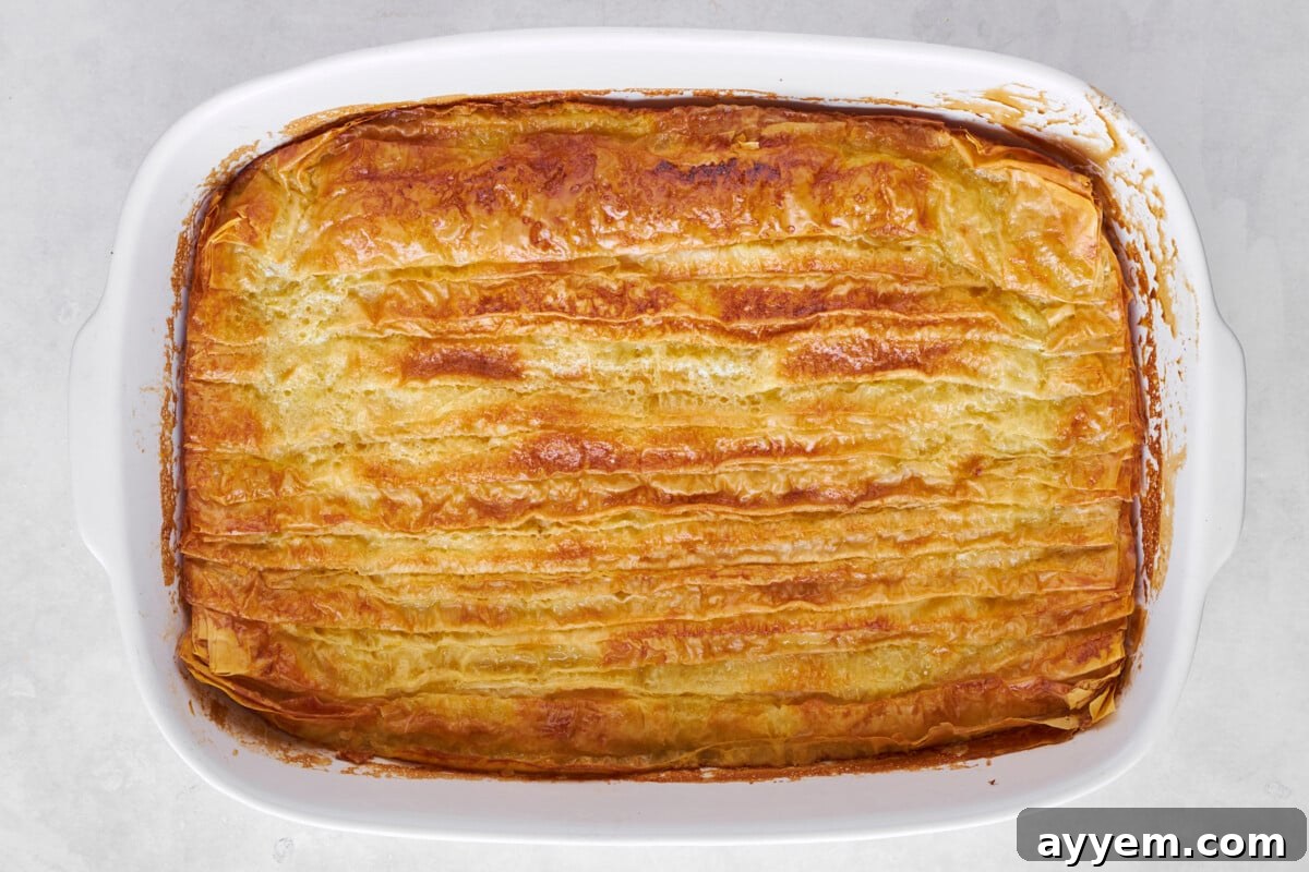 Baked crinkle phyllo.