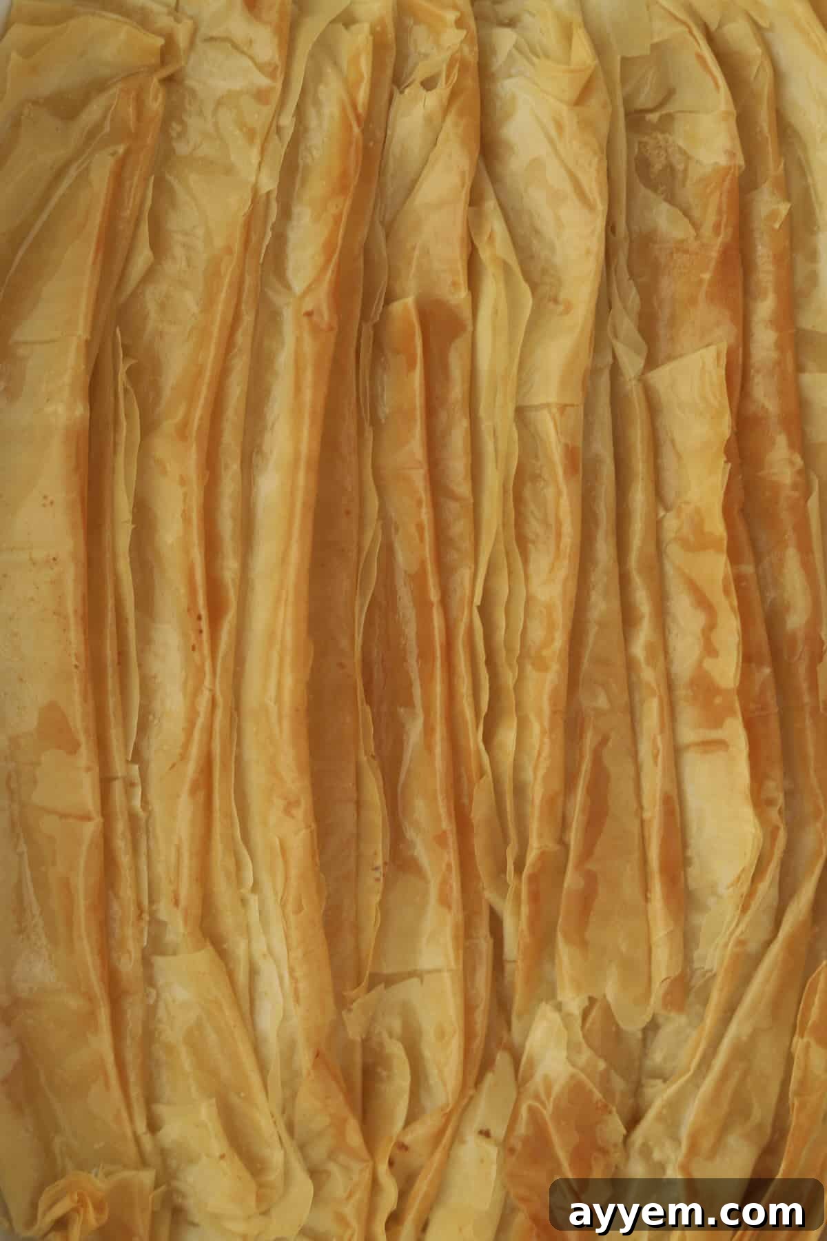 Golden-brown baked crinkle phyllo dough in a casserole dish, ready for toppings.