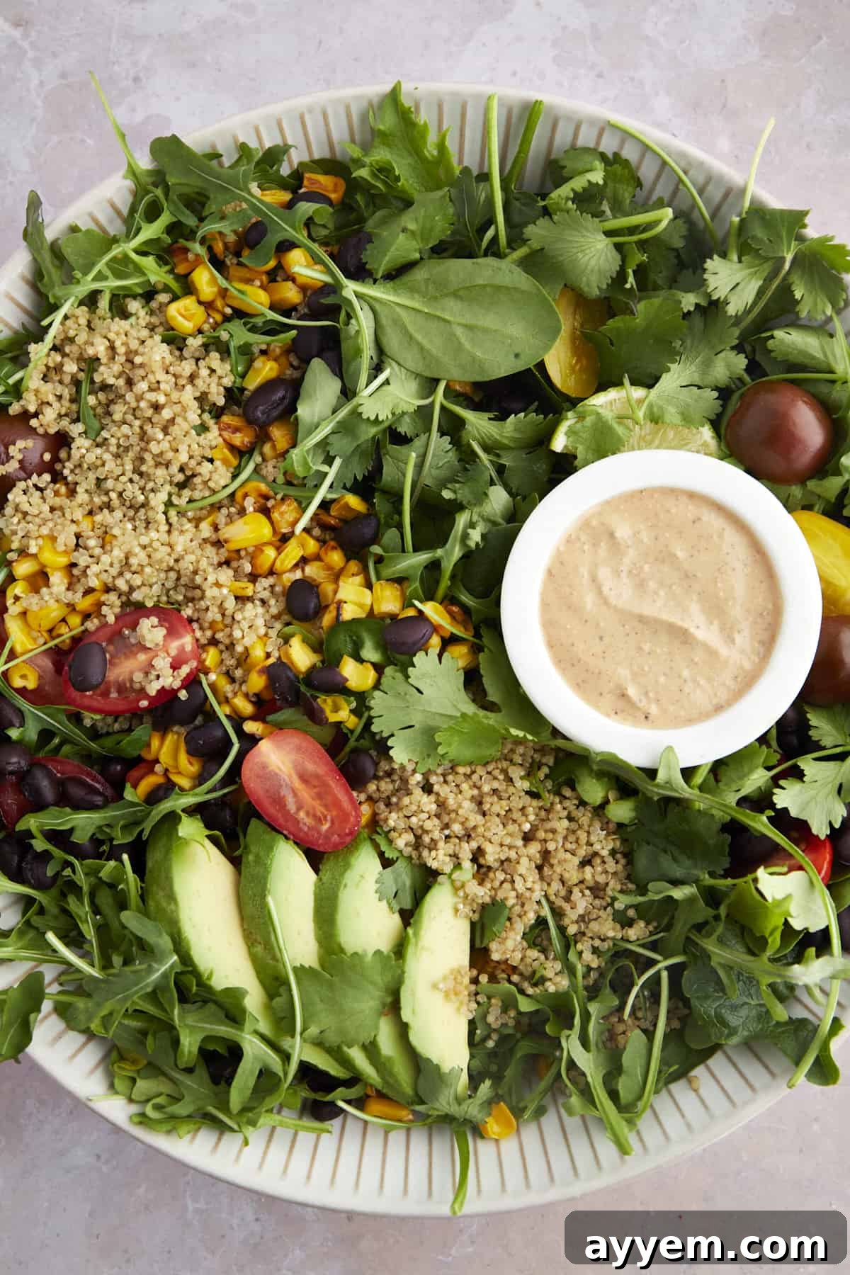 Overhead shot of a complete Southwest Salad with creamy chipotle dressing, beautifully arranged to highlight all ingredients.