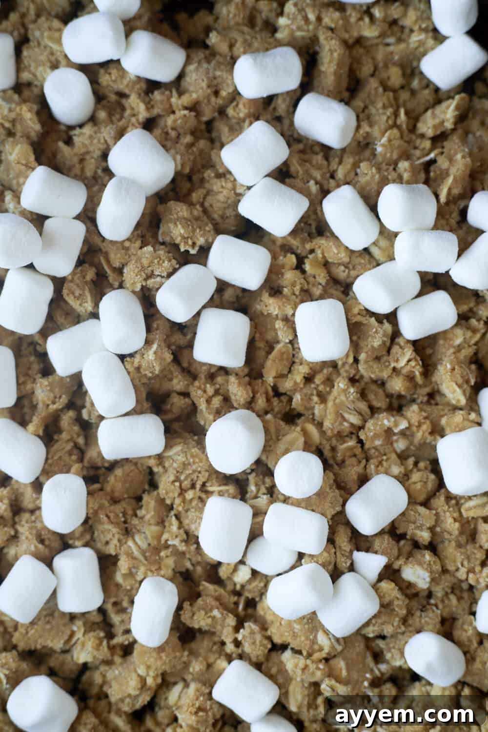 Graham cracker pieces topped with marshmallows.