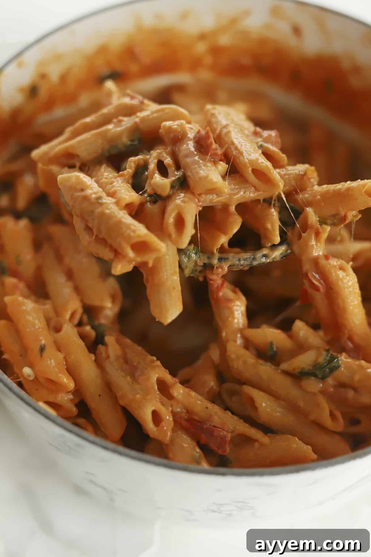 pot of sun dried tomato pasta being stirred with a spoon
