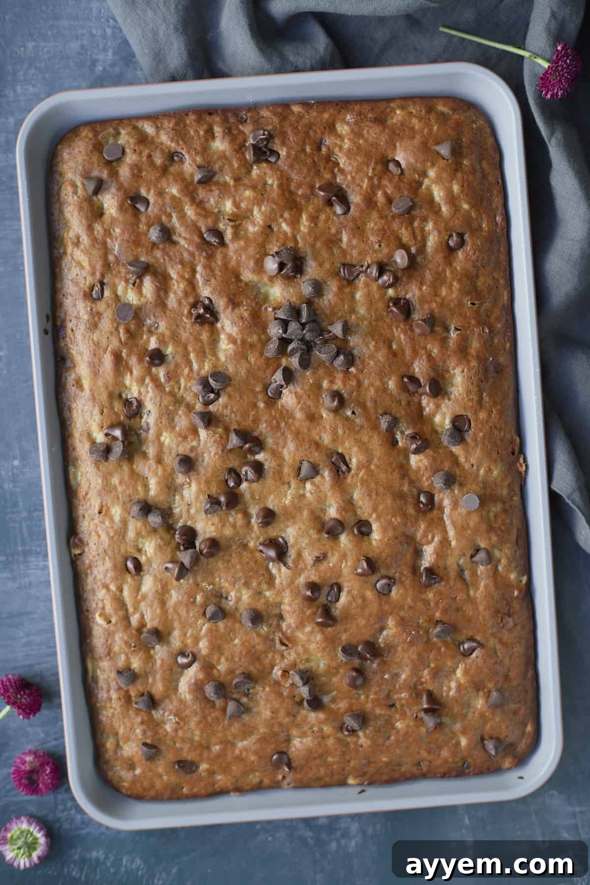 Banana bread in a sheet pan topped with chocolate chips