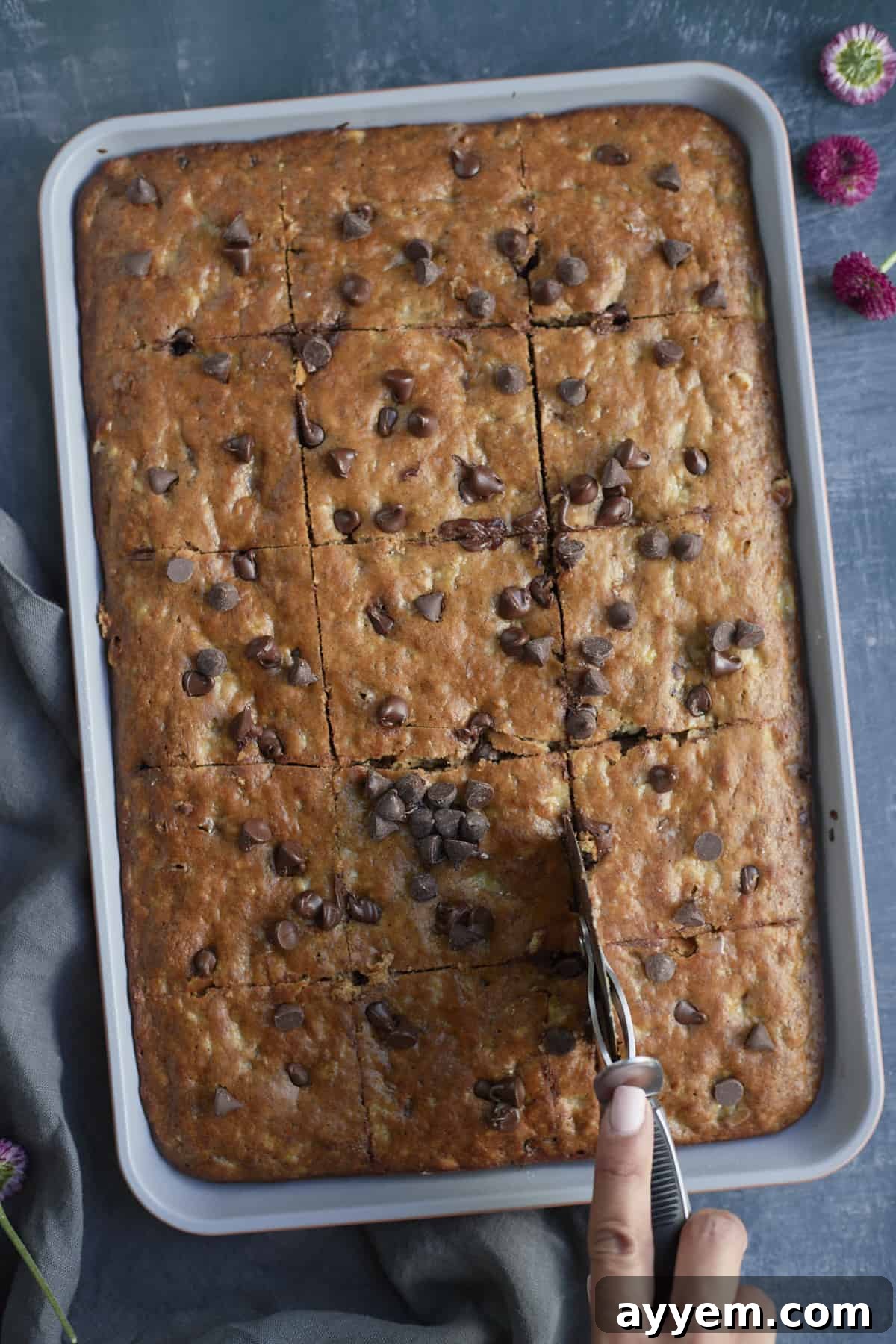 Banana bread in a sheet pan. A pizza cutter cuts it into slices