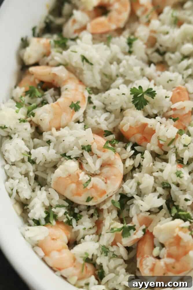 lemon garlic shrimp and rice.