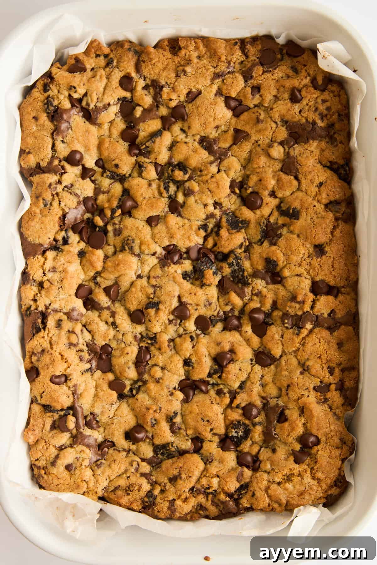 Oreo brookie bars neatly arranged in a baking dish, displaying their golden-brown top and speckled Oreo pieces.