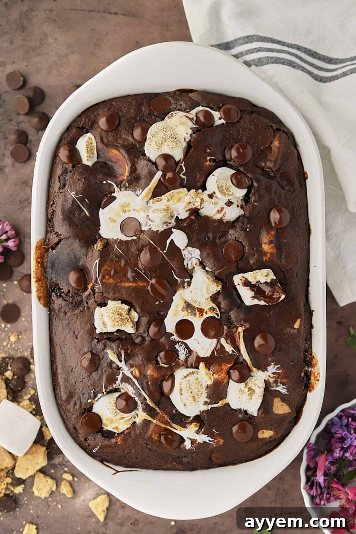 Overhead view of a beautifully rich and moist s'mores chocolate cake, topped with golden toasted marshmallows and chocolate chunks.
