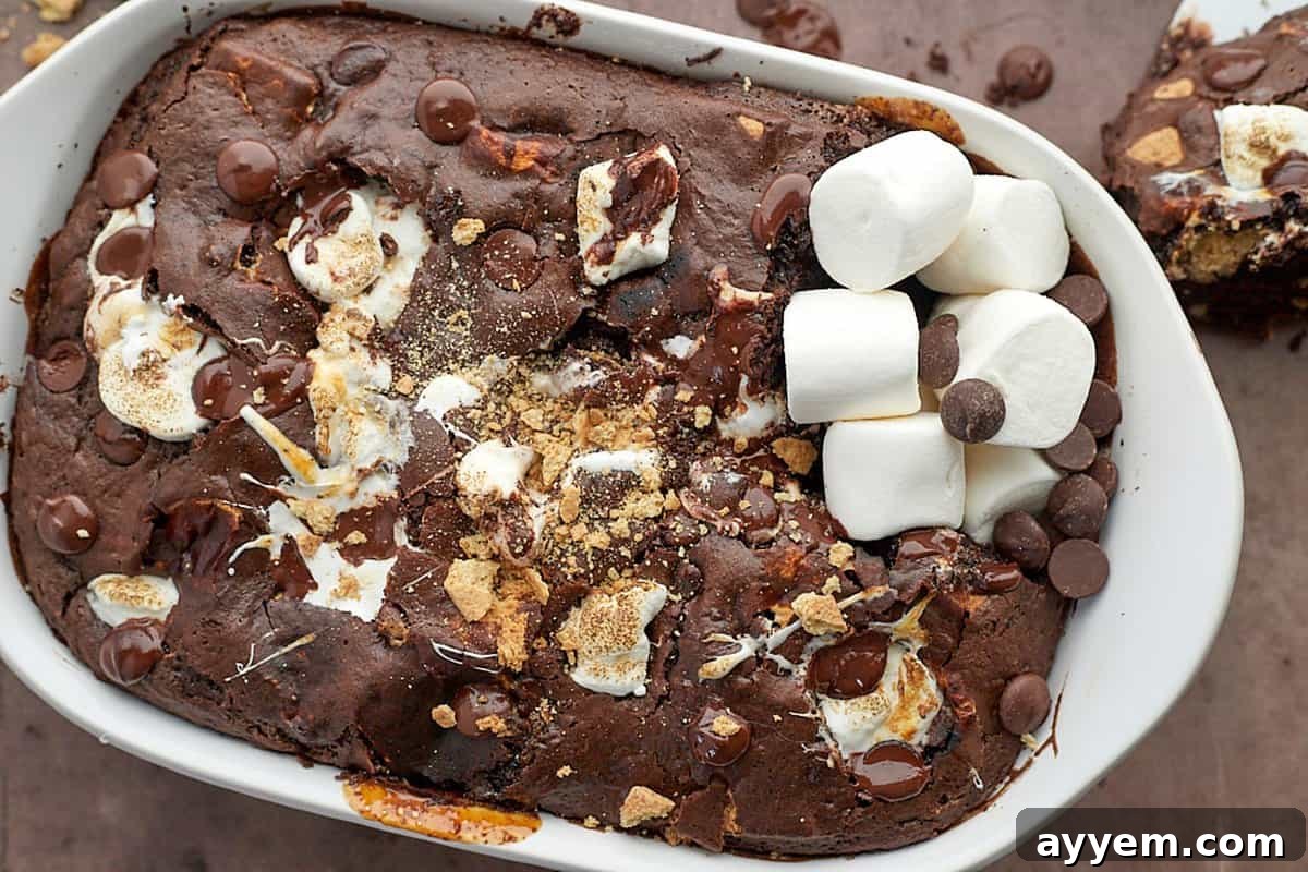 Close-up shot of a slice of s'mores chocolate cake revealing layers of graham crackers, melted marshmallows, and rich chocolate cake.