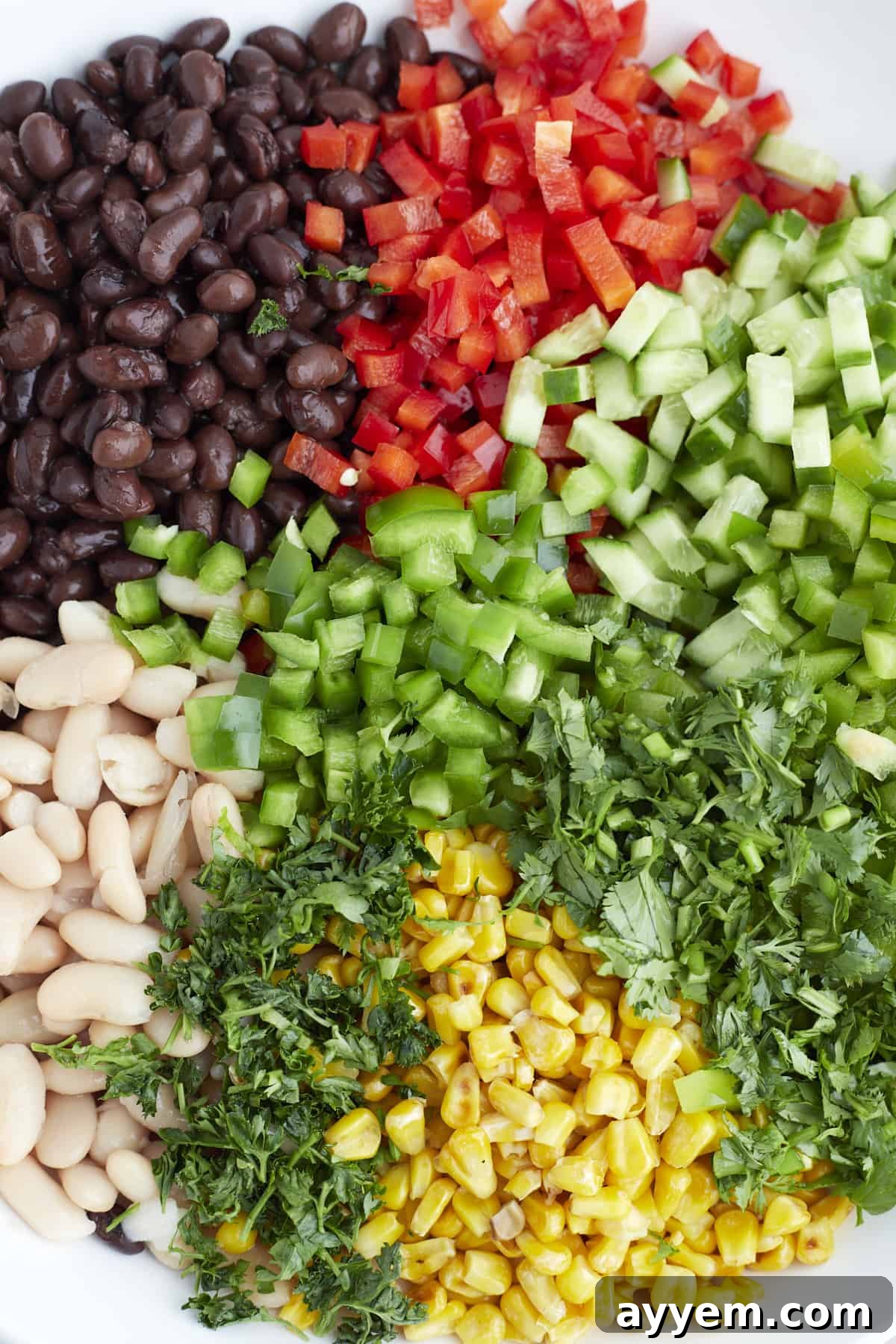 Closeup of fresh ingredients for cowboy caviar: green peppers, jalapeños, black beans, cannellini beans, corn, tomatoes, and herbs