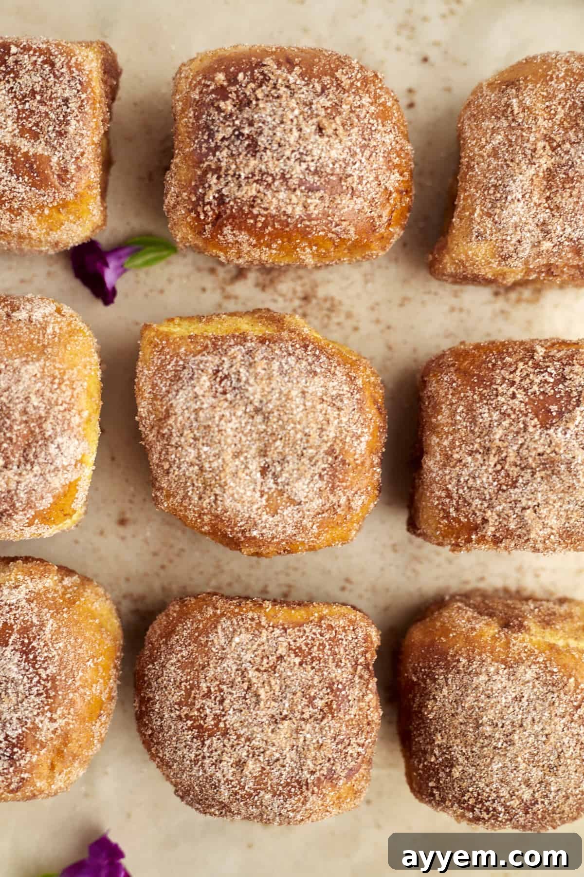 nine buns arranged on parchment paper and topped with an extra sprinkle of cinnamon sugar