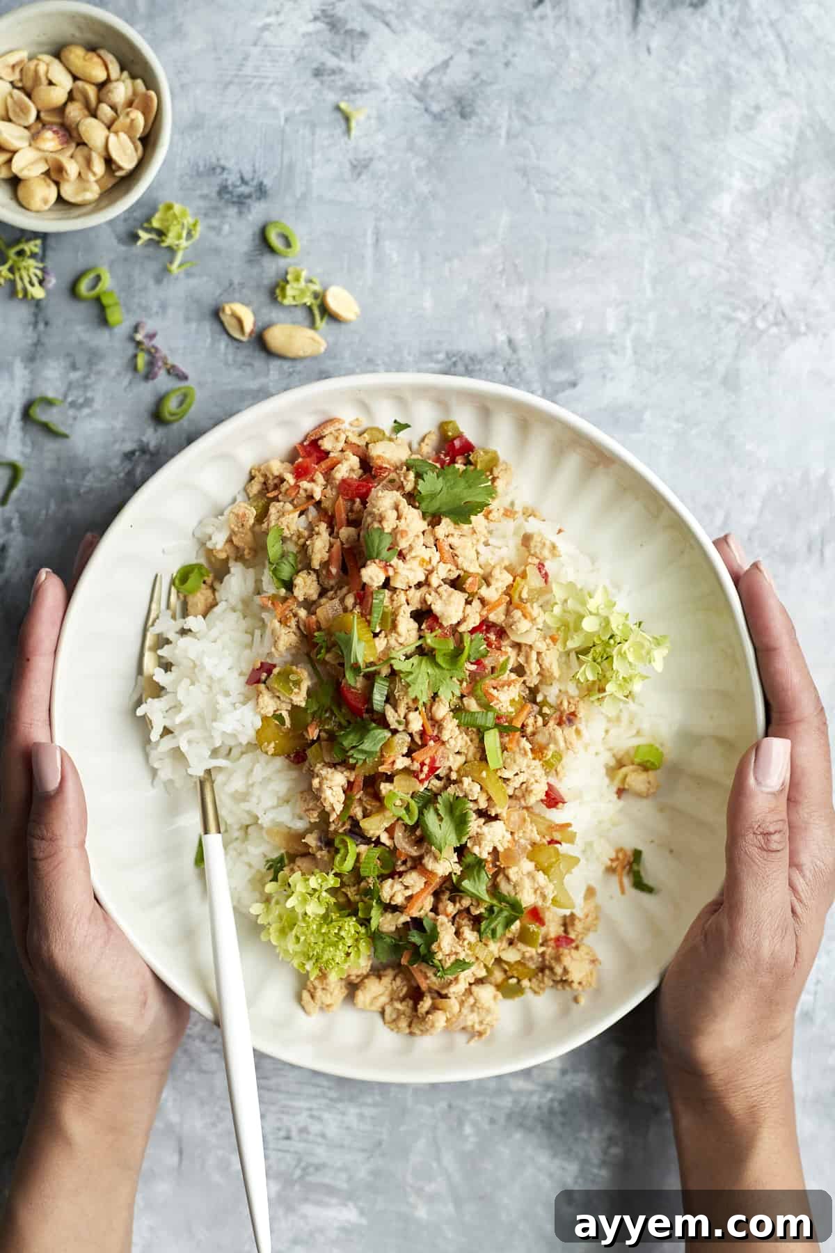 Two hands holding a plate full of Asian chicken with rice, showcasing the finished dish.