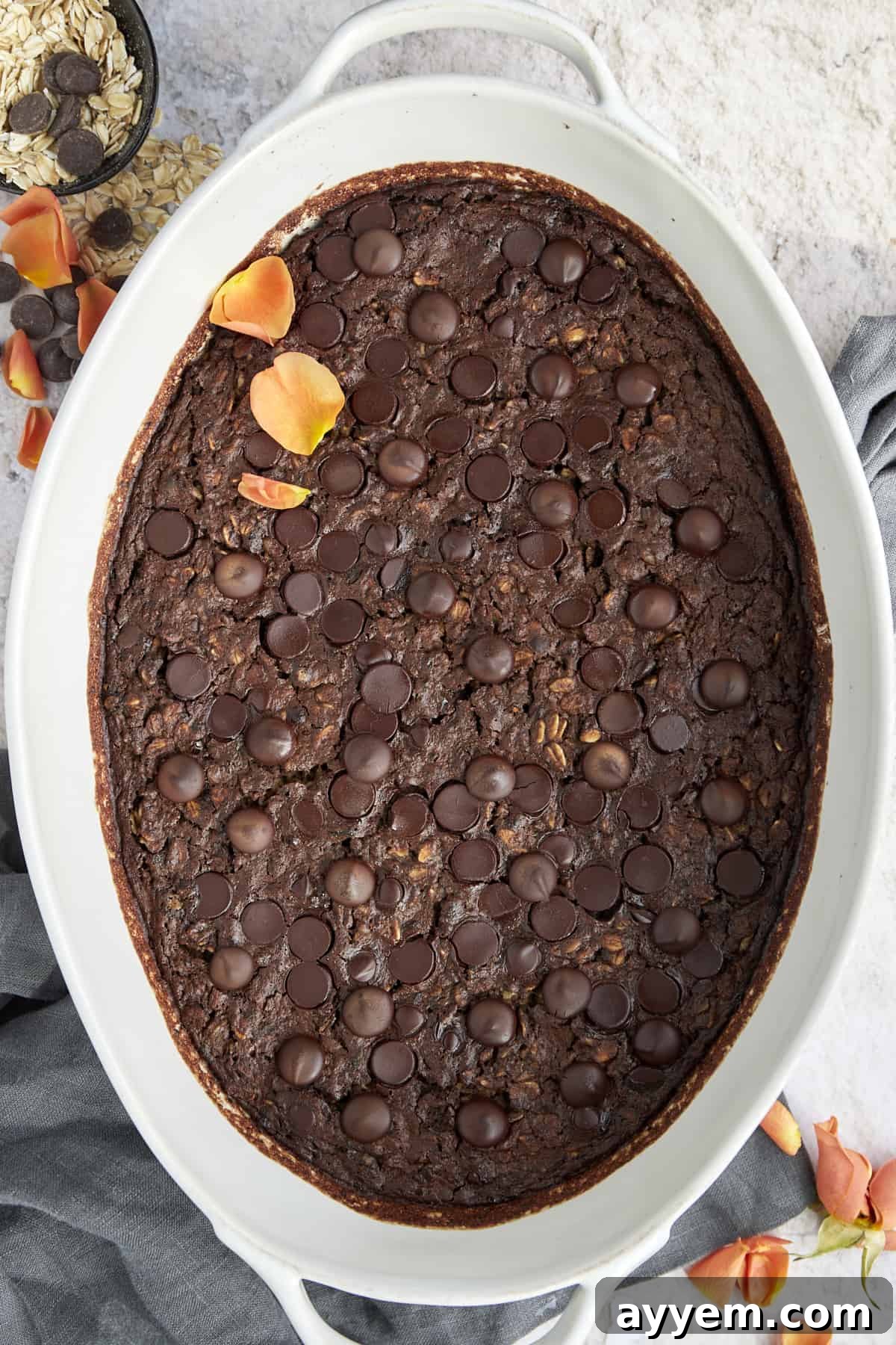 An inviting overhead view captures a generous portion of chocolate baked oatmeal nestled within an oval baking dish, ready to be enjoyed.