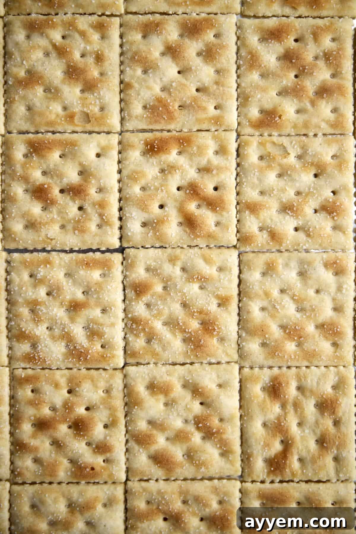 saltine crackers in a single layer on a baking sheet