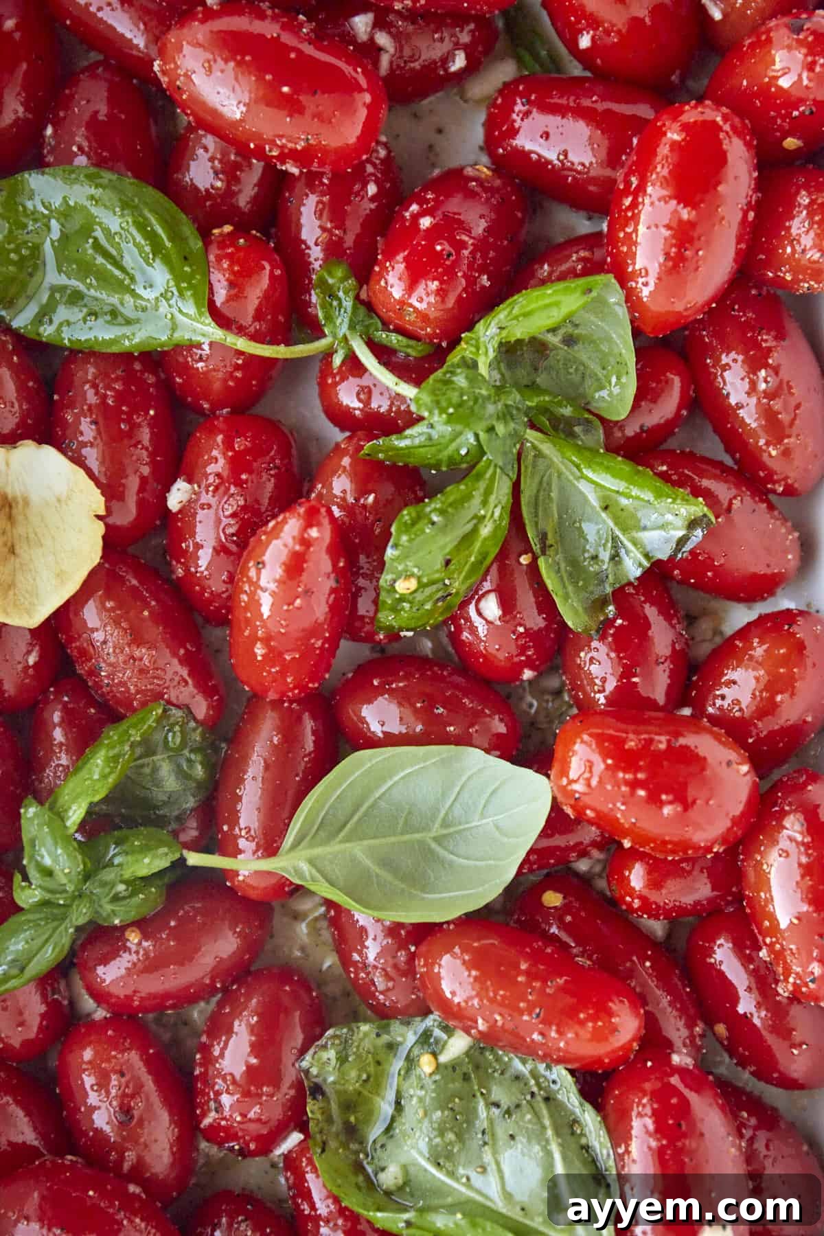 Grape tomatoes in a baking dish tossed with oil and seasonings and topped with fresh herbs, before baking.