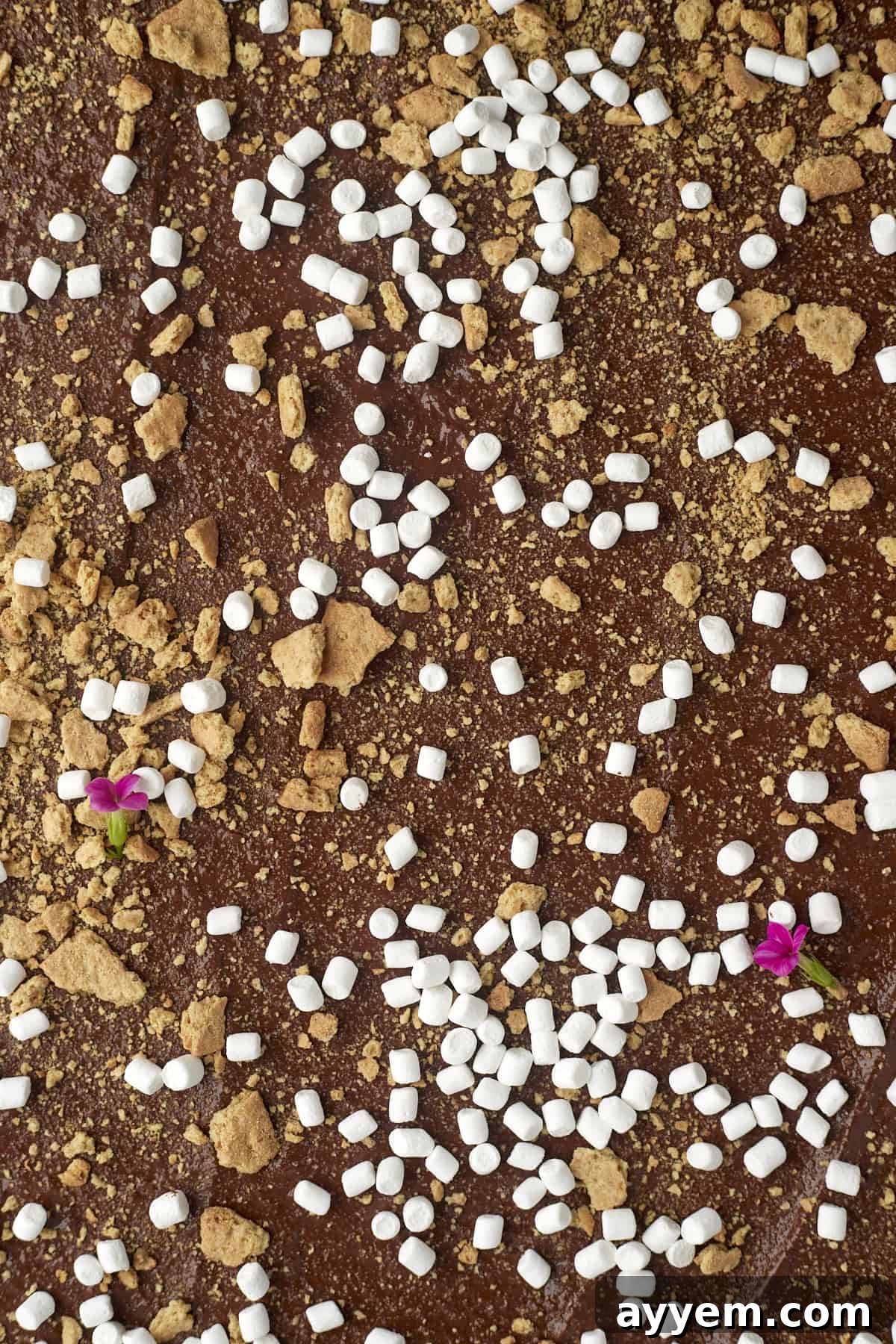Delicious S'mores Graham Cracker Toffee, generously topped with fluffy mini marshmallows and extra graham cracker crumbs, showcasing its irresistible appeal.
