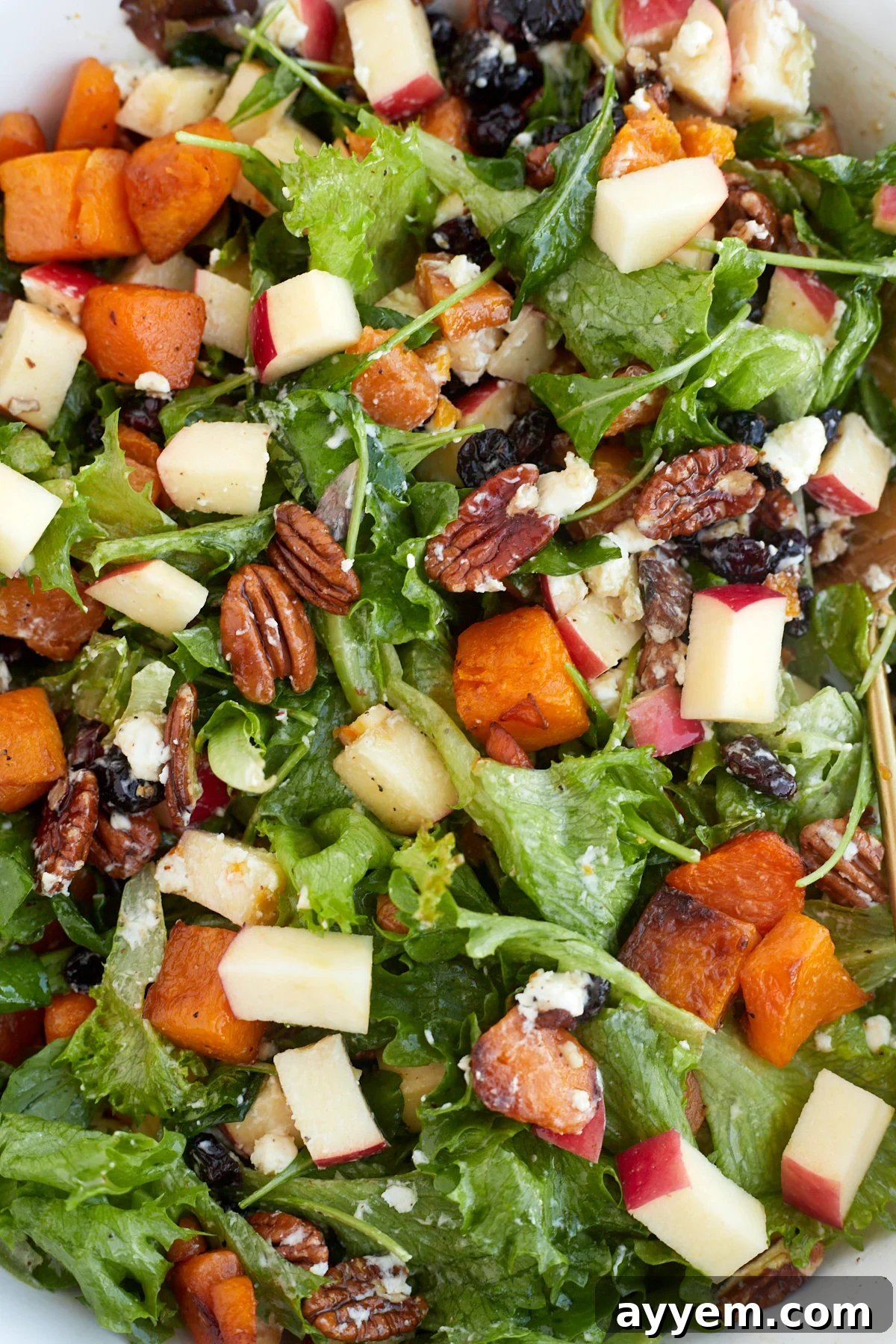 close up image of roasted butternut squash salad