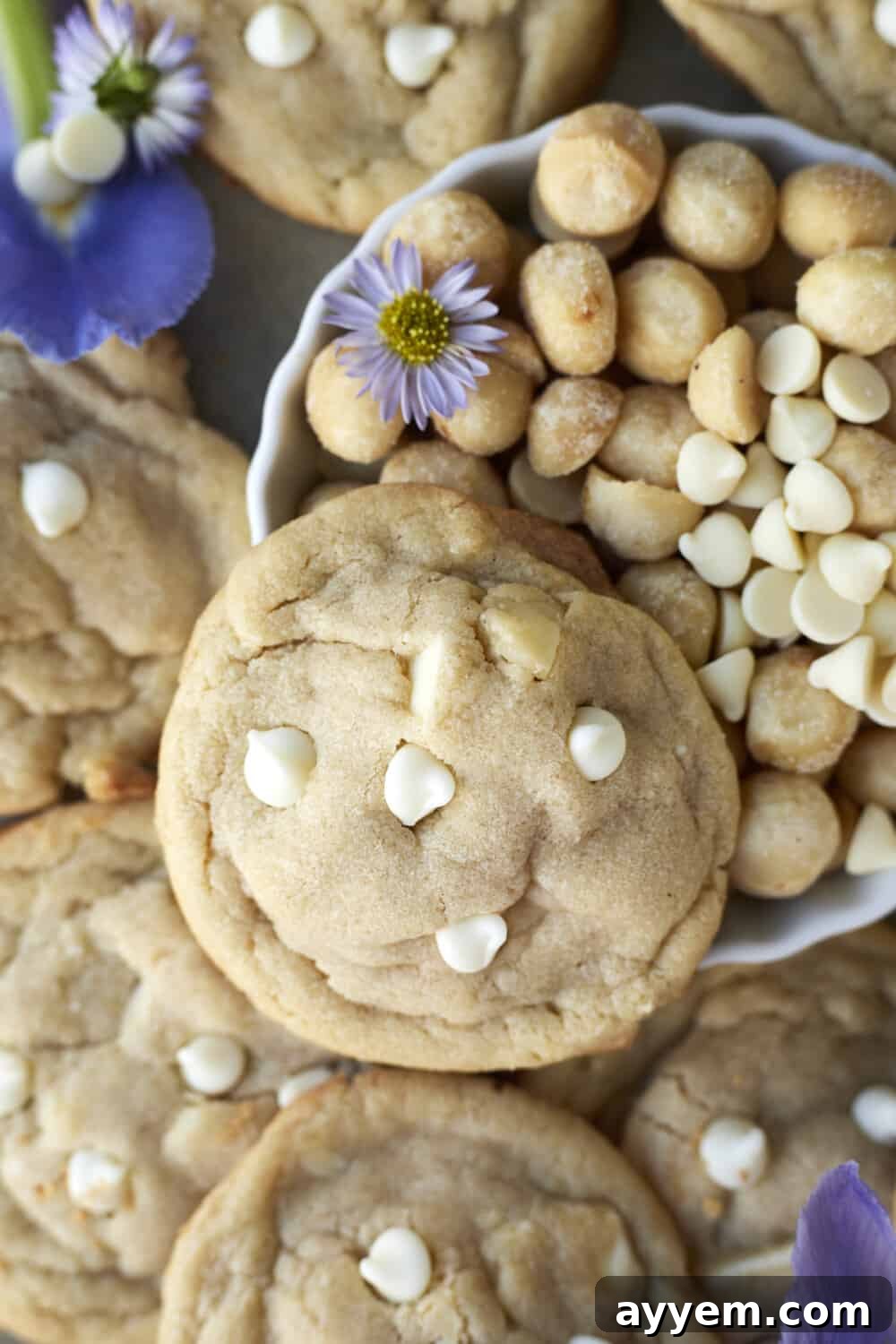 A close-up image of a perfectly baked white chocolate macadamia nut cookie, surrounded by other cookies on a cooling rack.