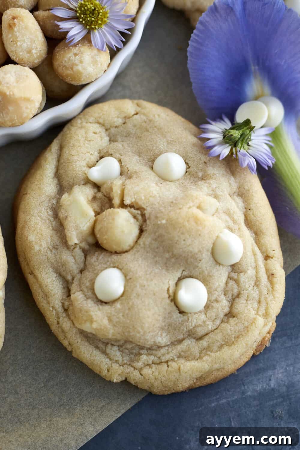A single white chocolate macadamia nut cookie with visible chunks of white chocolate and macadamia nuts.
