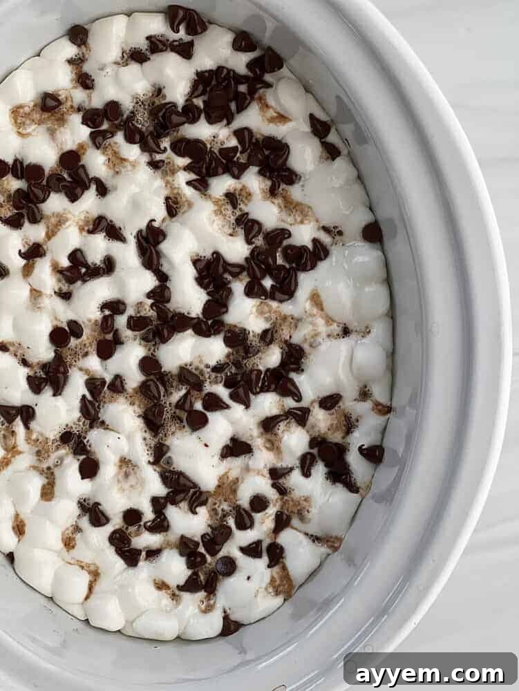 overhead image of s'mores chocolate cake in a slow cooker