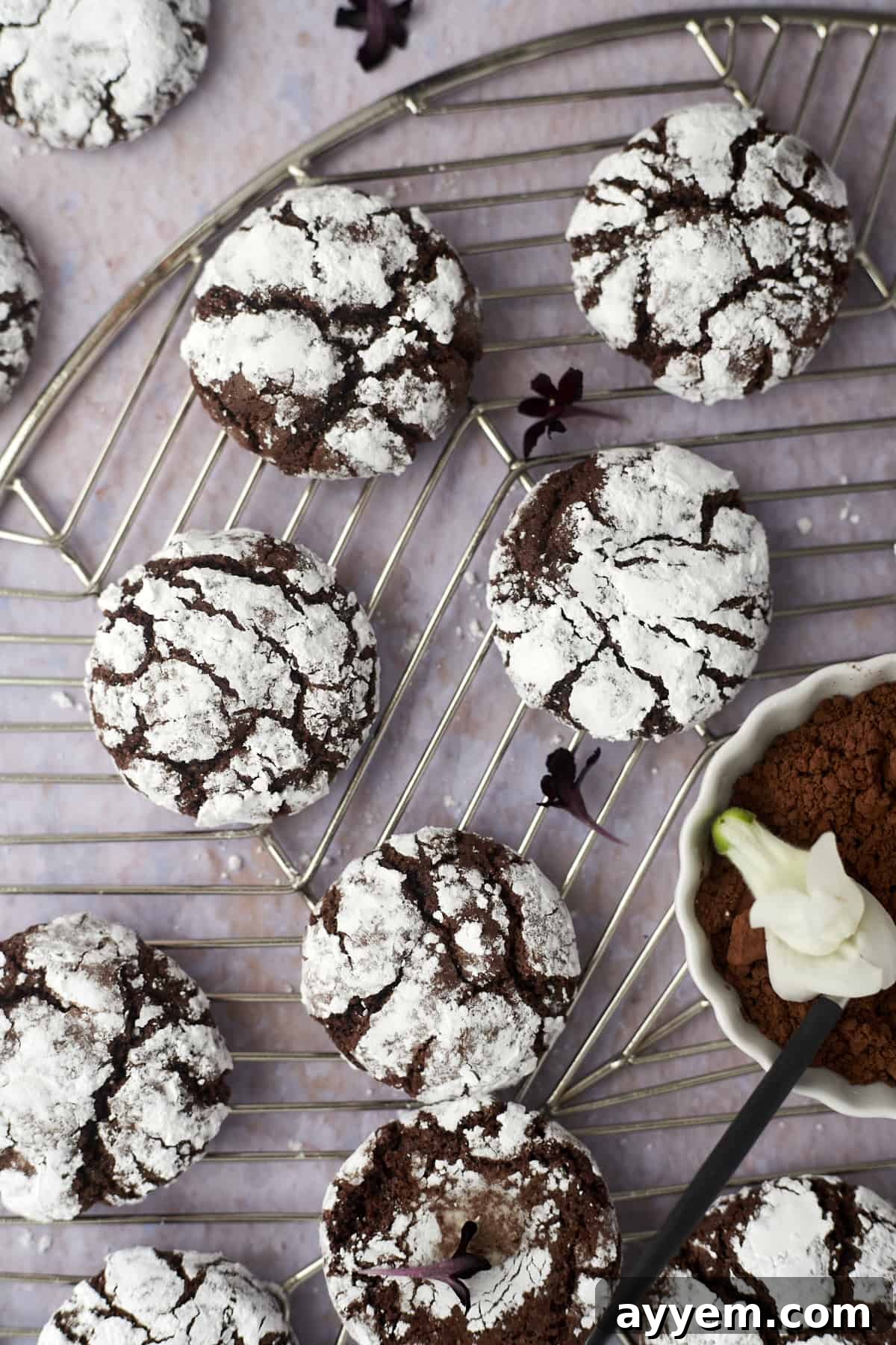 Two chocolate crinkle cookies stacked, showing the contrast between the dark fudgy interior and the powdered sugar coating.