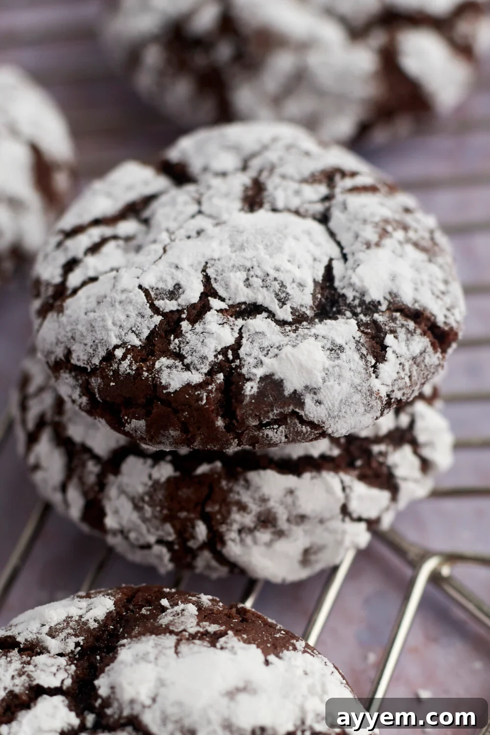 Two soft and fudgy chocolate crinkle cookies stacked on a wire rack, highlighted by natural light.