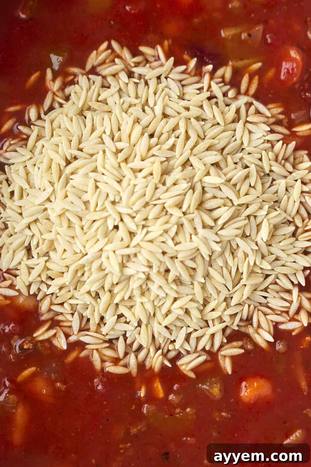Uncooked orzo pasta waiting to be added to a rich, simmering tomato-based broth for Pasta e Fagioli.