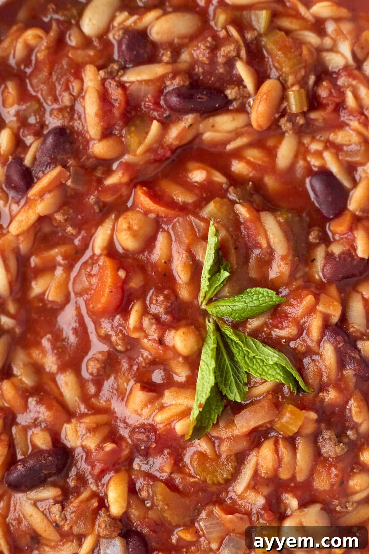 A close-up view of a bowl of Pasta e Fagioli, showcasing the rich broth, tender pasta, and colorful vegetables.