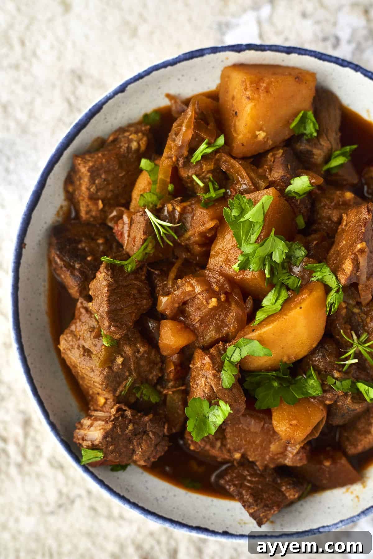 A bowl of Middle Eastern beef stew topped with fresh herbs. 