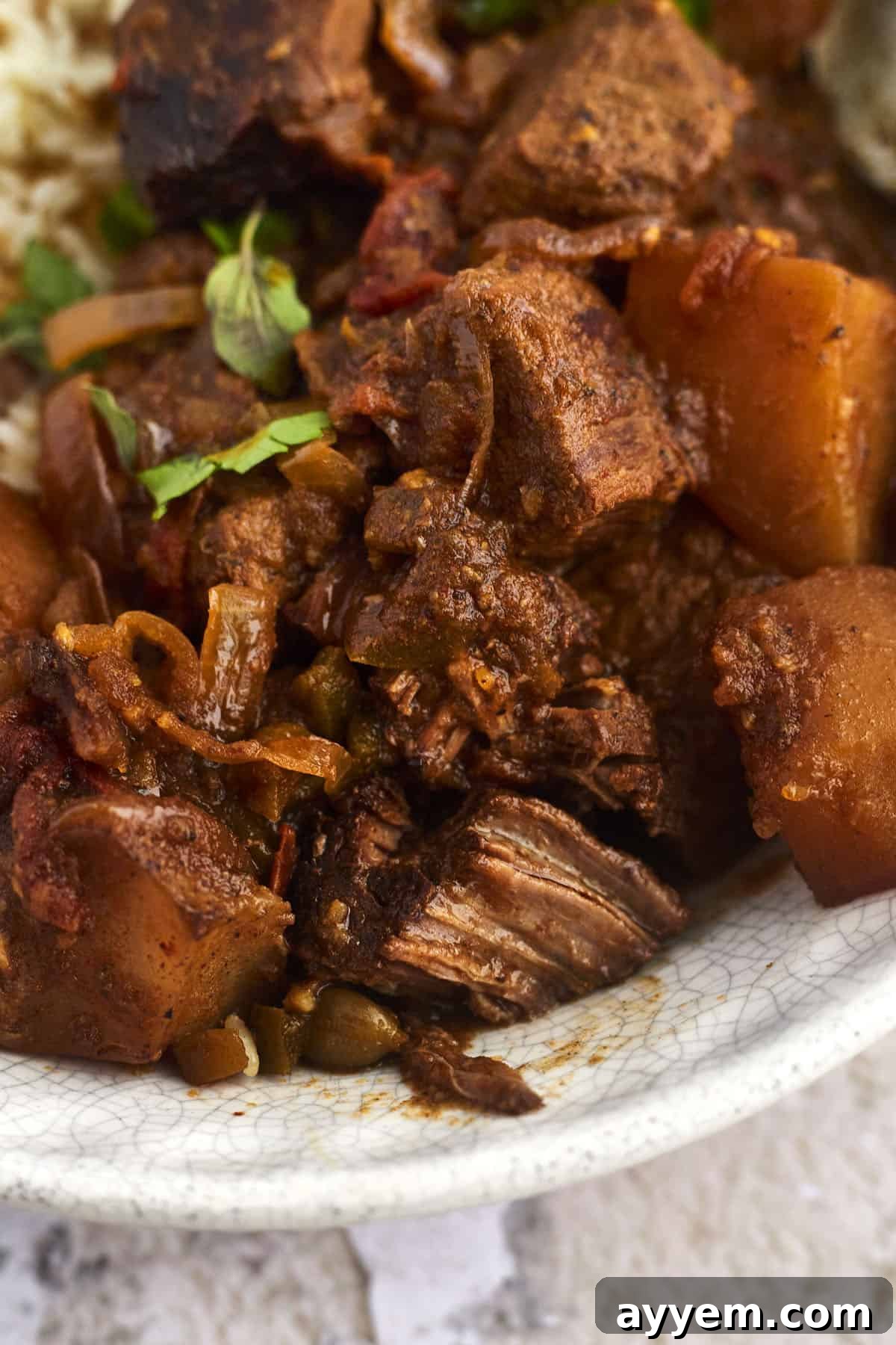 Close up view of Middle Eastern beef stew. 