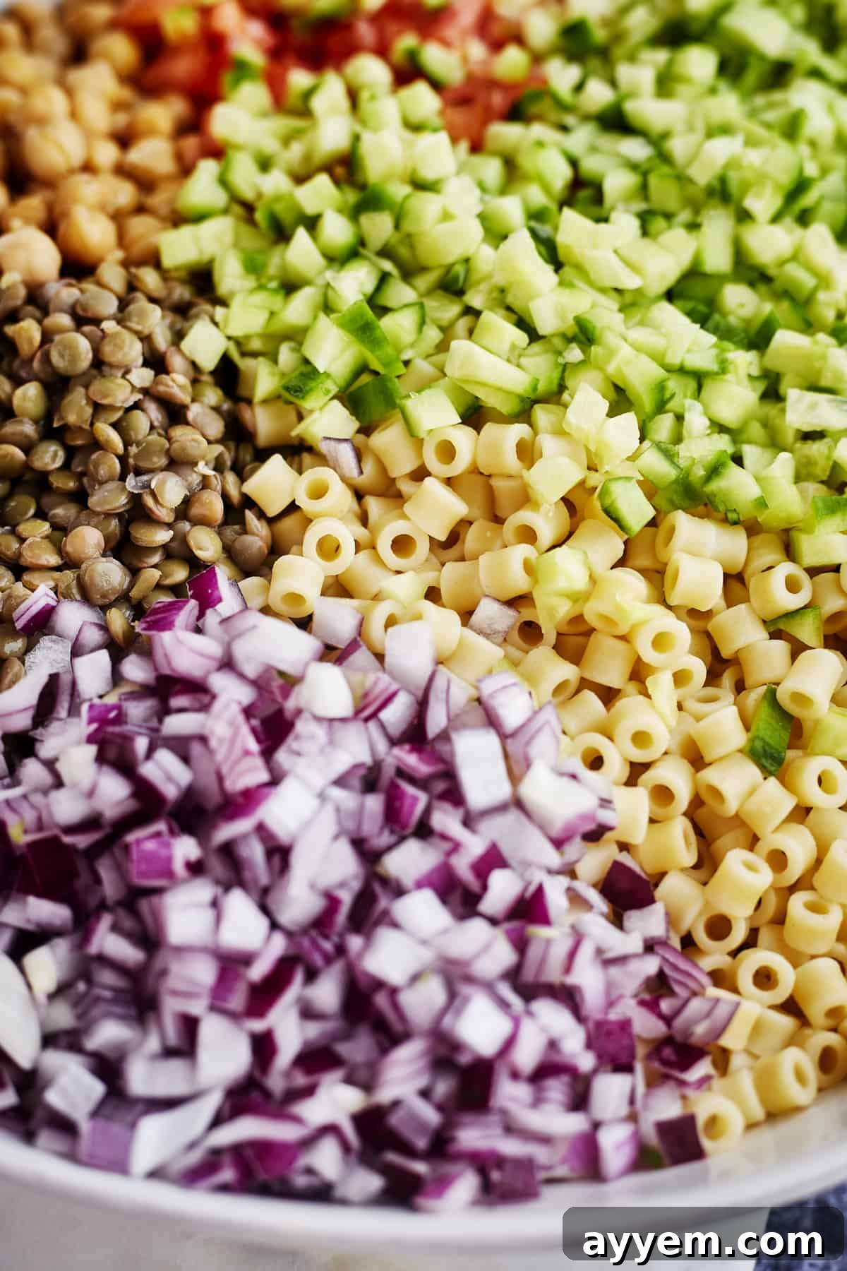 Close-up of the Chickpea and Lentil Salad in a white bowl, showing the texture of the lentils, chickpeas, and ditalini pasta.