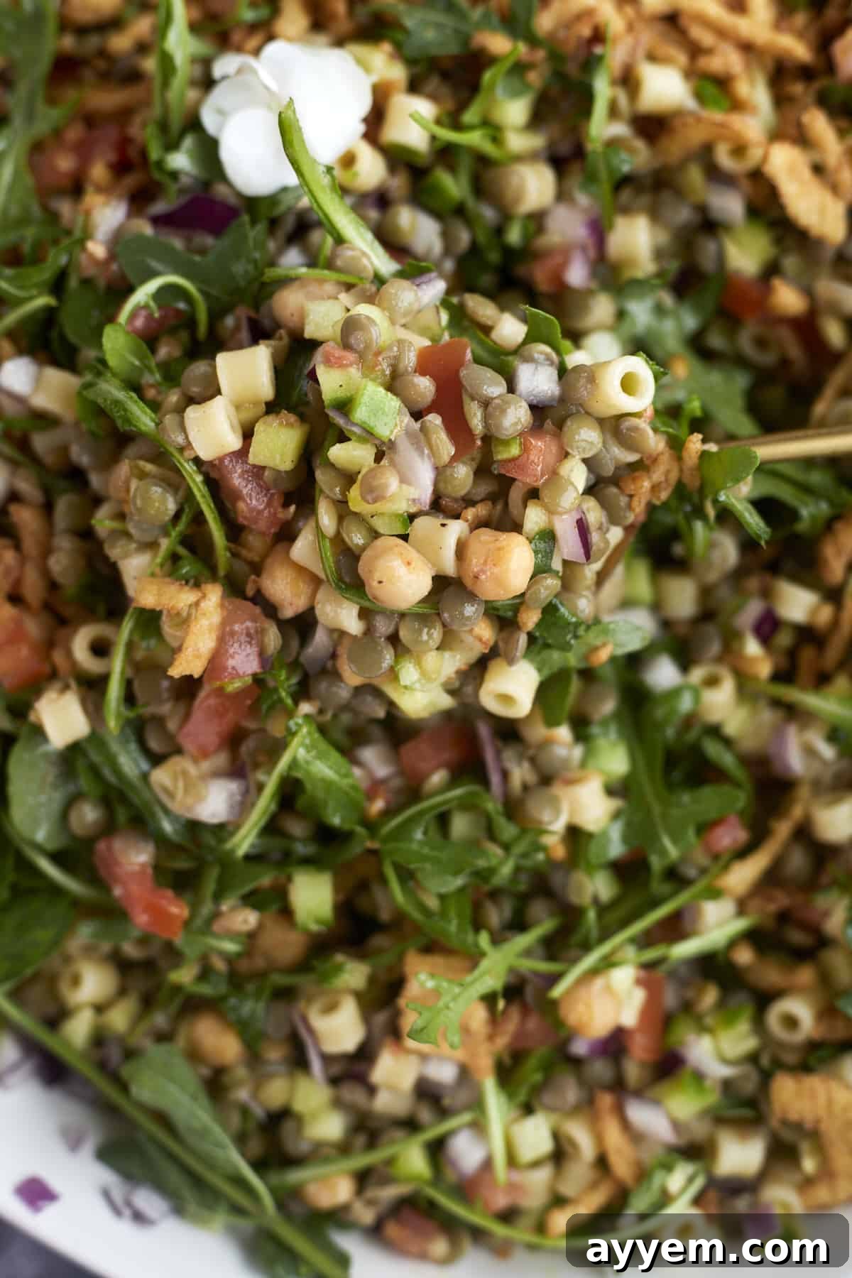 A spoon lifting a portion of Chickpea and Lentil Salad from a bowl, highlighting its texture.