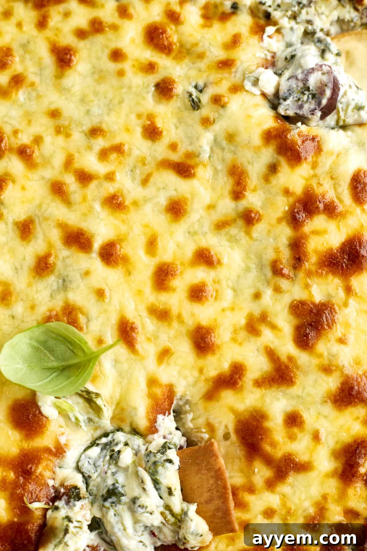 Close-up of a serving of warm Spinach Olive Dip with pita bread and fresh vegetables.