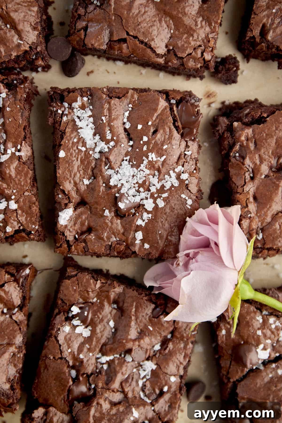 Delicious one-bowl brownies with chocolate chips, showcasing a gooey texture