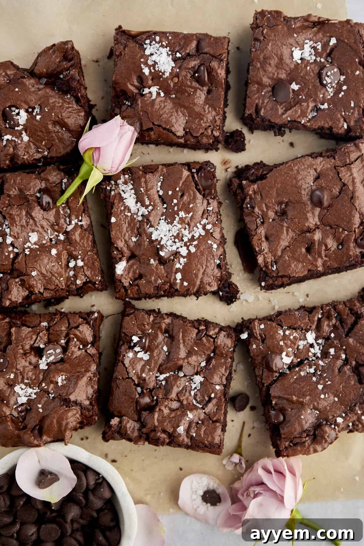 Close-up of a fudgy one-bowl brownie with melted chocolate chips