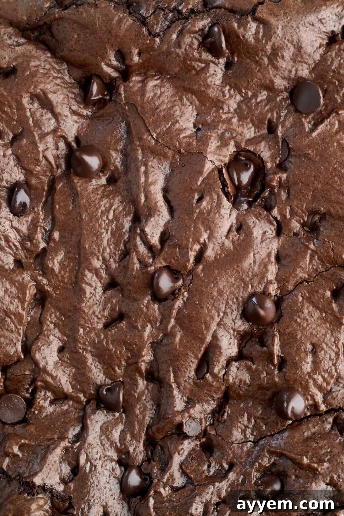 Various ingredients for brownies laid out on a counter