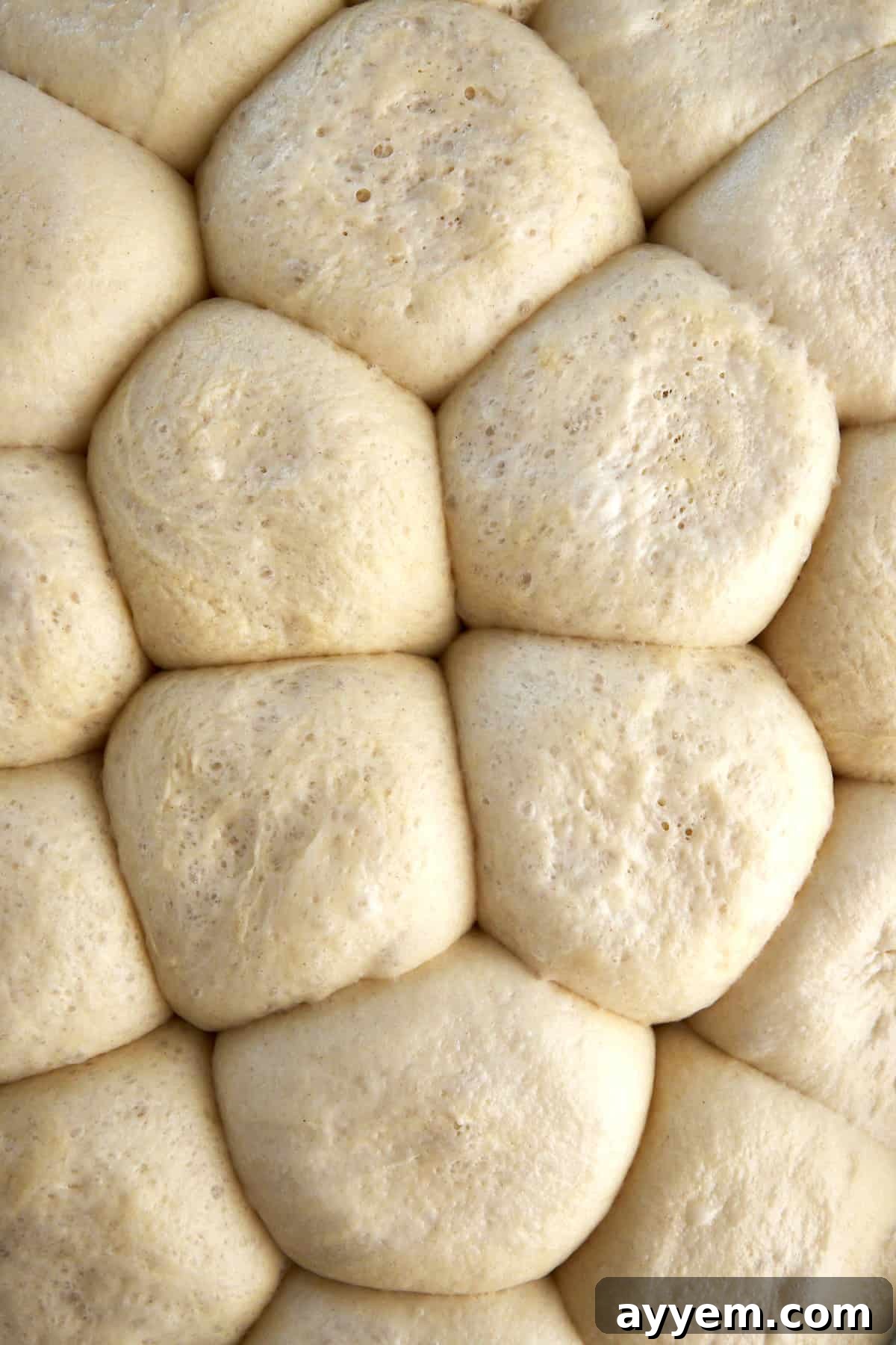 Raw dinner rolls arranged in a baking sheet, ready for proofing to make focaccia.