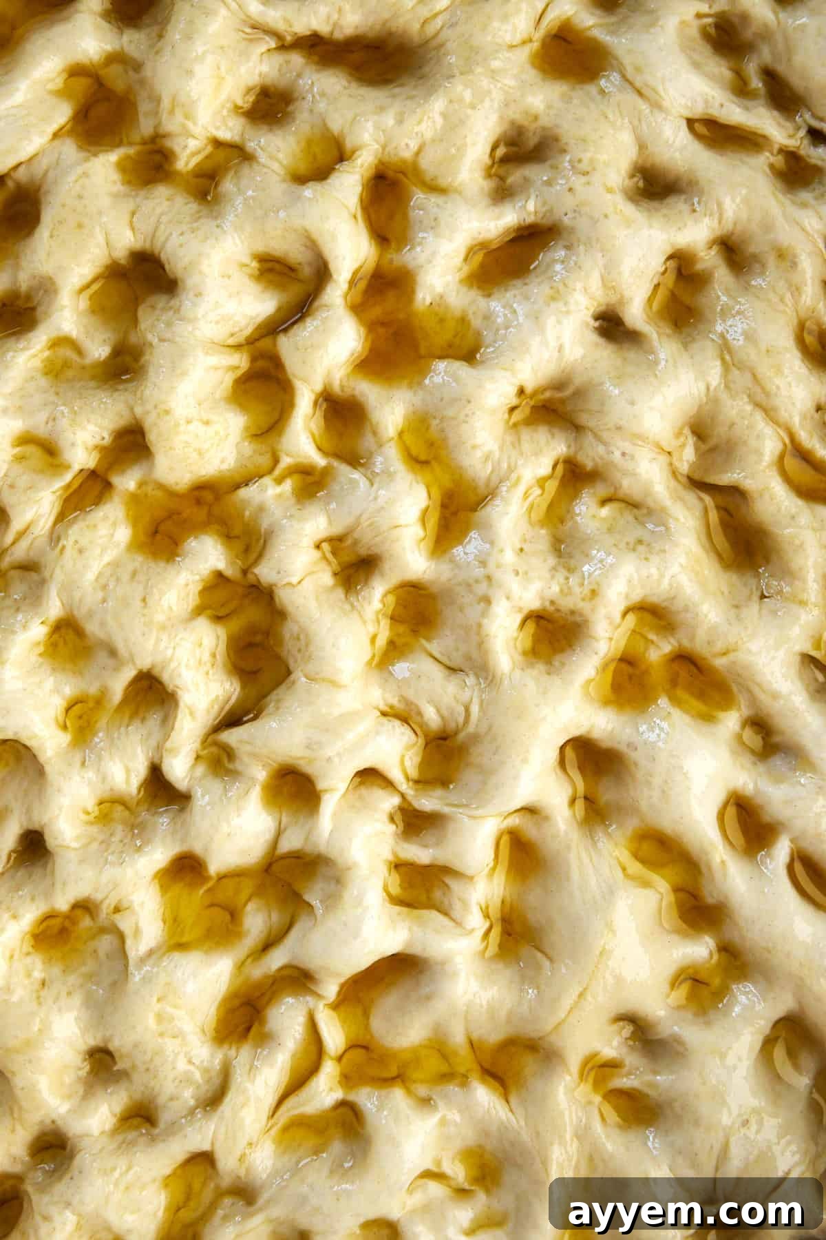 Proofed bread dough with olive oil and visible indentations made for focaccia.